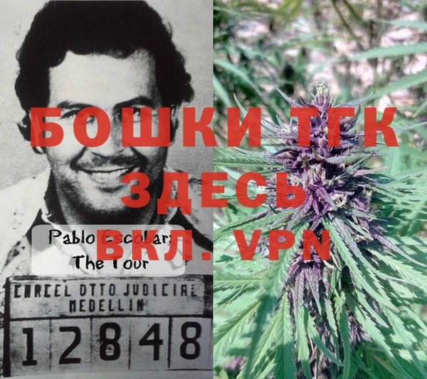 2c-b Рославль