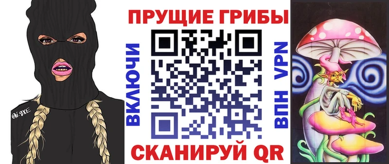 Галлюциногенные грибы Cubensis  Кологрив 